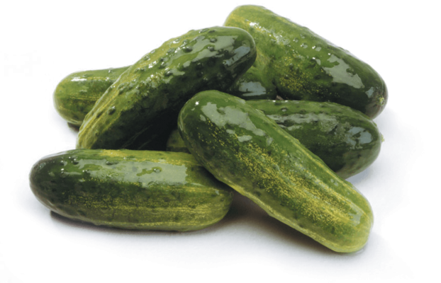 Vienna Kosher - Whole Pickles